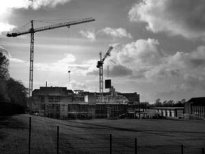 Leicester Medical School